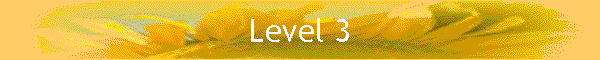 Level 3