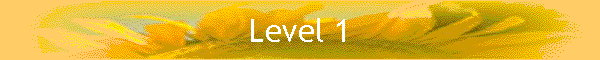 Level 1