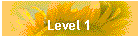 Level 1