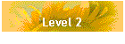 Level 2