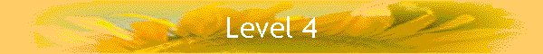Level 4