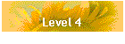 Level 4